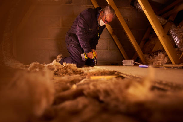 Professional Insulation Services in Ransom Canyon, TX